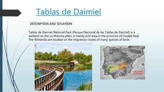 Tablas de Daimiel
Tablas de Daimiel National Park (Parque Nacional de las Tablas de Daimiel) is a
wetland on the La Mancha plain, a mainly arid area in the province of Ciudad Real.
The Wetlands are located on the migratory routes of many species of birds
DESCRIPTION AND SITUATION
 