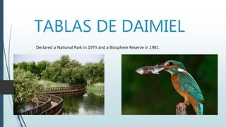 TABLAS DE DAIMIEL
Declared a National Park in 1973 and a Biosphere Reserve in 1981.
 
