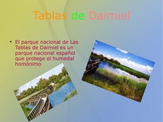 Tablas de Daimiel 
 El parque nacional de Las 
Tablas de Daimiel es un 
parque nacional español 
que protege el humedal 
homónimo 
 