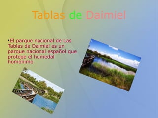 Tablas de Daimiel 
El parque nacional de Las 
Tablas de Daimiel es un 
parque nacional español que 
protege el humedal 
homónimo 
 