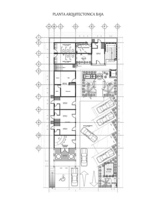 PLANTA ARQUITECTONICA BAJA
 