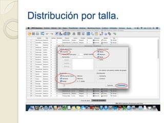 Distribución por talla.
 