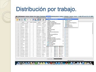 Distribución por trabajo.
 
