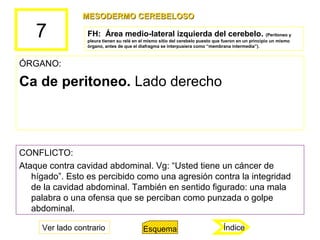 7
ÓRGANO:
Ca de peritoneo. Lado derecho
CONFLICTO:
Ataque contra cavidad abdominal. Vg: “Usted tiene un cáncer de
hígado”....