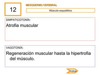 12
SIMPATICOTONÍA:
Atrofia muscular
VAGOTONÍA:
Regeneración muscular hasta la hipertrofia
del músculo.
Músculo esquelético...