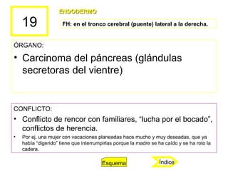 19
ÓRGANO:
• Carcinoma del páncreas (glándulas
secretoras del vientre)
CONFLICTO:
• Conflicto de rencor con familiares, “l...