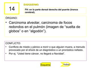 14
ÓRGANO:
• Carcinoma alveolar, carcinoma de focos
redondos en el pulmón (imagen de “suelta de
globos” o en “algodón”).
C...