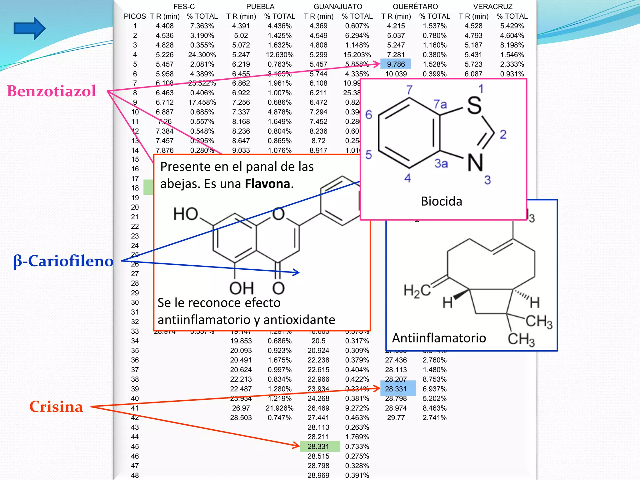 FES-C PUEBLA GUANAJUATO QUERÉTARO VERACRUZ
PICOS T R (min) % TOTAL T R (min) % TOTAL T R (min) % TOTAL T R (min) % TOTAL T R (min) % TOTAL
1 4.408 7.363% 4.391 4.436% 4.369 0.607% 4.215 1.537% 4.528 5.429%
2 4.536 3.190% 5.02 1.425% 4.549 6.294% 5.037 0.780% 4.793 4.604%
3 4.828 0.355% 5.072 1.632% 4.806 1.148% 5.247 1.160% 5.187 8.198%
4 5.226 24.300% 5.247 12.630% 5.299 15.203% 7.281 0.380% 5.431 1.546%
5 5.457 2.081% 6.219 0.763% 5.457 5.858% 9.786 1.528% 5.723 2.333%
6 5.958 4.389% 6.455 3.165% 5.744 4.335% 10.039 0.399% 6.087 0.931%
7 6.108 25.522% 6.862 1.961% 6.108 10.990% 15.096 0.273% 6.189 61.992%
8 6.463 0.406% 6.922 1.007% 6.211 25.385% 16.564 0.327% 6.695 1.355%
9 6.712 17.458% 7.256 0.686% 6.472 0.824% 16.757 0.408% 8.343 1.502%
10 6.887 0.685% 7.337 4.878% 7.294 0.396% 17.408 0.310% 8.913 1.011%
11 7.26 0.557% 8.168 1.649% 7.452 0.280% 17.926 0.302% 9.140 1.213%
12 7.384 0.548% 8.236 0.804% 8.236 0.601% 18.718 1.269% 10.835 2.282%
13 7.457 0.395% 8.647 0.865% 8.72 0.254% 19.806 0.485% 11.032 2.062%
14 7.876 0.280% 9.033 1.076% 8.917 1.010% 20.504 2.885% 13.156 3.309%
15 8.202 0.328% 9.538 0.853% 9.088 0.752% 20.923 1.539% 14.124 0.758%
16 8.917 1.659% 9.782 9.610% 9.144 0.414% 22.242 2.180% 29.415 1.474%
17 9.337 1.105% 10.146 0.793% 9.277 0.542% 22.482 0.275%
18 9.786 1.168% 10.27 1.524% 9.658 0.347% 22.619 3.606%
19 10.548 0.366% 11.028 3.934% 9.786 0.566% 22.863 0.622%
20 10.698 0.287% 12.026 1.967% 10.034 0.365% 22.906 0.776%
21 10.848 0.495% 12.377 0.985% 10.835 1.573% 22.966 4.422%
22 11.405 0.626% 12.792 0.759% 10.882 0.488% 23.24 0.287%
23 11.764 0.273% 13.028 0.707% 10.994 0.298% 23.356 1.459%
24 12.801 0.536% 13.533 0.685% 11.349 0.381% 23.557 0.852%
25 14.638 0.397% 15.764 1.183% 12.15 0.324% 23.895 1.053%
26 16.479 0.606% 16.569 1.090% 12.385 0.354% 24.375 0.571%
27 17.408 0.303% 16.757 1.824% 13.156 1.551% 24.443 0.643%
28 20.491 0.297% 17.293 0.761% 13.383 0.271% 24.49 1.545%
29 22.238 0.360% 17.408 1.014% 14.119 0.311% 24.906 0.461%
30 26.439 2.290% 17.609 1.489% 14.633 0.441% 25.616 0.414%
31 28.199 0.669% 17.858 1.224% 15.113 1.082% 25.736 0.756%
32 28.503 0.366% 17.931 1.044% 16.479 0.338% 26.113 0.773%
33 28.974 0.337% 19.147 1.291% 16.663 0.378% 26.443 26.455%
34 19.853 0.686% 20.5 0.317% 26.546 2.418%
35 20.093 0.923% 20.924 0.309% 27.385 0.514%
36 20.491 1.675% 22.238 0.379% 27.436 2.760%
37 20.624 0.997% 22.615 0.404% 28.113 1.480%
38 22.213 0.834% 22.966 0.422% 28.207 8.753%
39 22.487 1.280% 23.934 0.334% 28.331 6.937%
40 23.934 1.219% 24.268 0.381% 28.798 5.202%
41 26.97 21.926% 26.469 9.272% 28.974 8.463%
42 28.503 0.747% 27.441 0.463% 29.77 2.741%
43 28.113 0.263%
44 28.211 1.769%
45 28.331 0.733%
46 28.515 0.275%
47 28.798 0.328%
48 28.969 0.391%
Benzotiazol
Crisina
Presente en el panal de las
abejas. Es una Flavona.
Se le reconoce efecto
antiinflamatorio y antioxidante
β-Cariofileno
Terpeno
Biocida
Antiinflamatorio
 