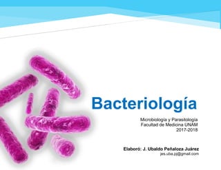 Ubaldo Peñaloza 2017-2018
Microbiología y Parasitología
Facultad de Medicina UNAM
2017-2018
Bacteriología
Elaboró: J. Ubaldo Peñaloza Juárez
jes.uba.pj@gmail.com
 