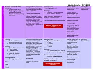 Ubaldo Peñaloza 2017-2018
Neumocistosis
Neumonía intersticial celular
plasmática:
• Severa, aguda y difusa
• Puede llegar a insuficiencia
respiratoria progresiva.
• Tos con esputo espumoso y
asalmonado
Patología: infiltrado inflamatorio
con presencia de macrófagos,
histiocitos, células plasmáticas,
quistes y trofozoítos.
P. jirovecii se adhiere a los
neumocitos alveolares, se
acumula en el lumen e induce
un infiltrado celular inflamatorio
que bloquea eficazmente el
intercambio gaseoso en el
pulmón. La inmunidad mediada
por células es el principal
determinante de la resolución de
la enfermedad.
Agente etiológico:
Pneumocystis jirovecii
Morfología:
• Trofozoíto  forma parasitaria
• Quiste  forma infectante
Por su morfología, previamente fue
clasificado como protozoario.
Comúnmente se encuentra en hospitales
Examen directo
observación de quistes
y trofozoítos
Tinción: Gomori-
metenamina de plata
(estándar de oro)
Estudios inmunológicos
Estudios moleculares
Histopatología
Imagenología  Rx de
tórax: infiltrados
reticulares o nodulares
en imagen de vidrio
esmerilado.
*La muestra de esputo
suele ser esponjosa y
asalmonada.
Trimetoprim-
sulfametoxazol,
pentamidina
Criptococosis
Pulmonar
• Afecta a los lóbulos
superiores bilateralmente
• Síntomas pseudogripales
Meníngea
• Forma clínica más frecuente
• Fiebre intensa
• Dolor retroocular
• Fiebre constante
• Signos de Kerning y
Brundziski positivos
Meningoencefálica
• Curso agudo y fulminante
Cutánea
Ósea
Visceral
El organismo obtiene acceso a
los pulmones por inhalación
seguido de diseminación
hematógena hacia el cerebro y
las meninges. La cápsula de
polisacáridos de C. neoformans
inhibe la fagocitosis por
neutrófilos y macrófagos en el
pulmón, promoviendo la
diseminación. La inmunidad
mediada por células T es el
principal determinante de la
resistencia.
Fenoloxidasa
Producción de melanina y
ureasa
Agente etiológico
• Cryptococcus neoformans
• C. gattii
• C. laurentii
• C. terreus
• C. albidus
Morfología
• Fase levaduriforme (única fase)
hongo levaduriforme encapsulado
Mecanismo de infección
• Inhalación de basidiosporas
Hábitat: guano de aves como palomas,
pichones y en gallineros
Examen directo de LCR
 con tinta China 
visualización de la
cápsula.
Cultivo  agar Níger,
alpiste negro (medio
selectivo)
Estudios inmunológicos
 aglutinación por
partículas de látex
Estudios moleculares
Histopatología
Imagenología
Fluconazol,
5-fluorocitosina
Marcador de infección por
VIH/SIDA
Marcador de infección por
VIH/SIDA
 