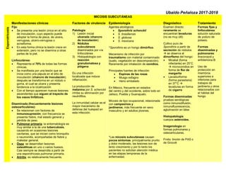 Ubaldo Peñaloza 2017-2018
MICOSIS SUBCUTÁNEAS
Manifestaciones clínicas Factores de virulencia Epidemiología Diagnóstico Tratamiento
Esporotricosis
Fija:
• Se presenta una lesión única en el sitio
de inoculación, cuyo aspecto puede
adoptar la forma de placa, de ulcera,
verrugosa, ulcero-verrugosa o
acneiforme.
• En esta forma clínica la lesión crece en
extensión, pero no se disemina a otras
partes de la piel.
Linfocutánea:
• Representa el 70% de todas las formas
clínicas.
• Se manifiesta por una lesión que se
inicia como una pápula en el sitio de
inoculación (chancro de inoculación);
después se transforma en un nódulo o
goma, el cual se ulcera y presenta
tendencia a la cicatrización
• Con el tiempo aparecen nuevas lesiones
ascendentes que siguen el trayecto de
los vasos linfáticos.
Diseminada (frecuentemente lesiones
osteoarticulares):
• Se relacionan con factores de
inmunosupresión; con frecuencia se
presenta fiebre, mal estado general y
pérdida de peso.
• Pulmonar primaria: la sintomatología es
muy similar a la de una tuberculosis,
causando en ocasiones lesiones
cavitarias, que se inician como bronquitis
o neumonitis, acompañadas de fiebre y
malestar general.
• Ósea: se desarrollan lesiones
osteolíticas en uno o varios huesos.
Casi siempre se desarrolla a partir de
una esporotricosis pulmonar primaria.
• Artritis: es relativamente frecuente.
Patología:
1) Lesión inicial
ulcerada (chancro
de inoculación)
2) Nódulos
subcutáneos
diseminados por vía
linfocutánea
3) Histopatología con
reacción
granulomatosa y
piógena
Es una infección
localizada que induce
inflamación.
La producción de
melanina por S. schenckii
inhibe su eliminación por
neutrófilos.
La inmunidad celular es el
mayor mecanismo de
defensa del huésped en
esta infección.
Agentes etiológicos
• Sporothrix schenckii
• S. brasiliensis
• S. globosa
• S. mexicana
*Sporothrix es un hongo dimórfico.
Mecanismo de infección por
traumatismo con material contaminado
(suelo, vegetación en descomposición).
Raramente por inhalación de conidios.
Principales fuentes de infección:
• Espinas de las rosas
• Musgo esfagno
• Heno embalado
En México, frecuente en estados
del centro y del occidente, sobre todo en
Jalisco, Puebla y Guanajuato.
Micosis de tipo ocupacional, relacionada
con campesinos y
jardineros, más frecuente en sexo
masculino y en adultos jóvenes.
*Las micosis subcutáneas causan
pocos síntomas: principalmente prurito
y dolor moderado, las lesiones son de
lento crecimiento y por lo tanto los
pacientes no solicitan atención médica
en las etapas tempranas de la
enfermedad.
Examen directo:
raramente se
encuentran levaduras
(no es muy útil)
Cultivo puro de
Sporothrix a partir de
secreción de nódulos
 se observa el
dimorfismo del hongo:
• Micelial (forma
infectante) en 25°C
 microconidios en
forma de flor de
margarita
• Levaduriforme
(forma parasitaria)
en 37°C 
levaduras en forma
de cigarro
Formas diseminadas:
pruebas serológicas
como inmunodifusión,
inmunofluorescencia,
aglutinación en látex
Histopatología:
cuerpos asteroides.
Imagenología en
formas pulmonares y
osteoarticulares.
Frotis: tinción de PAS o
de Grocott
Formas fijas y
linfocutánea:
solución saturada
de yoduro de
potasio.
Formas
diseminadas y
pulmonares:
itraconazol y
anfotericina B
Uso de
protección en
miembros
superiores e
inferiores para
trabajos de
jardinería y otros
relacionados con
el hábitat del
hongo
 