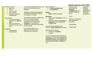 Ubaldo Peñaloza 2017-2018
Paracoccidioidomicosis
Pulmonar primaria
• Neumonía
• Fiebre
• Tos con esputo
• Dolor torácico
• Síntomas similares a
histoplasmosis
Tegumentaria
• En boca: estomatitis
moriforme  “boca de
tapir”
• Lesiones ulcerativas
nodulares en cara, nariz y
boca.
Ganglionar
• Linfadenopatía
submandibular
Los conidios inhalados germinan en el
pulmón a la forma de levadura
patógena.
Patología: lesiones granulomatosas,
pulmonares, diseminación linfática
mucocutánea y visceral.
Una proteína fungicida, citoplásmica y
de unión a hongos inhibe la
conversión de fase micelial a
levaduriforme en presencia de
estrógeno, lo que explica la
predilección clínica de la enfermedad
en los hombres.
La inmunidad celular es un
determinante primario de la
eliminación de la infección.
Agente etiológico
• Paracoccidioides lutzii
• P. brasiliensis
Hábitat:
• Suelo y detritus vegetales
Morfología:
• Fase micelial (infectante) a 25°C 
conidios
• Fase levaduriforme (parasitaria y
patógena) a 37°C  levaduras
multigemantes
Frecuentemente se encuentra en
Veracruz, zonas cafetaleras y de caña.
Mecanismos de infección
• Inhalación de conidios
• Cutánea
La paracoccidioidomicosis sintomática y
progresiva es nueve veces más común
en hombres que en mujeres debido a la
inhibición mediada por estrógenos de
la conversión de micelio a levadura in
vivo.
Examen directo:
observación de
levaduras
multigemantes  en
forma de “rueda de
timón”
Cultivo
Estudios inmunológicos
para diagnóstico y
pronóstico
Histopatología
Imagenología
Sulfametoxi-
piridazina,
trimetoprim
sulfametoxazol,
ketoconazol,
itraconazol,
anfotericina B
 