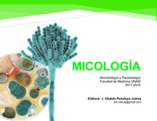 Microbiología y Parasitología
Facultad de Medicina UNAM
2017-2018
MICOLOGÍA
Elaboró: J. Ubaldo Peñaloza Juárez
jes.uba.pj@gmail.com
 
