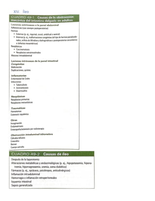 XIV. Íleo
 