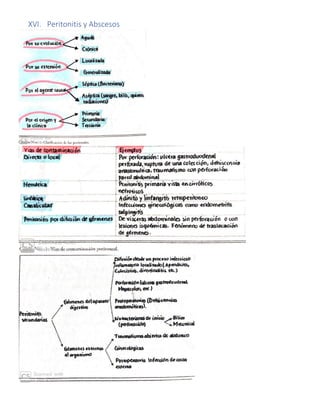 XVI. Peritonitis y Abscesos
 