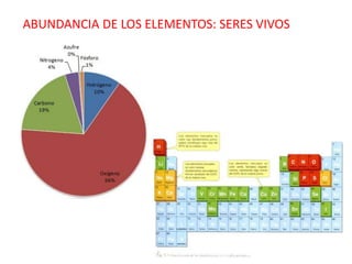 ABUNDANCIA DE LOS ELEMENTOS: SERES VIVOS