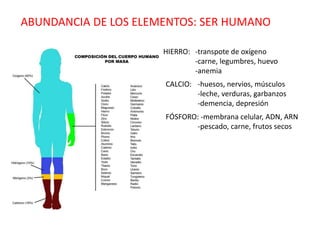 ABUNDANCIA DE LOS ELEMENTOS: SER HUMANO
HIERRO: -transpote de oxígeno
-carne, legumbres, huevo
-anemia
CALCIO: -huesos, nervios, músculos
-leche, verduras, garbanzos
-demencia, depresión
FÓSFORO: -membrana celular, ADN, ARN
-pescado, carne, frutos secos