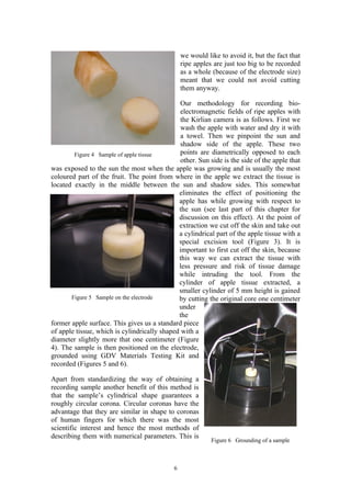 we would like to avoid it, but the fact that
                                                 ripe apples are just too big to be recorded
                                                 as a whole (because of the electrode size)
                                                 meant that we could not avoid cutting
                                                 them anyway.

                                               Our methodology for recording bio-
                                               electromagnetic fields of ripe apples with
                                               the Kirlian camera is as follows. First we
                                               wash the apple with water and dry it with
                                               a towel. Then we pinpoint the sun and
                                               shadow side of the apple. These two
        Figure 4 Sample of apple tissue        points are diametrically opposed to each
                                               other. Sun side is the side of the apple that
was exposed to the sun the most when the apple was growing and is usually the most
coloured part of the fruit. The point from where in the apple we extract the tissue is
located exactly in the middle between the sun and shadow sides. This somewhat
                                              eliminates the effect of positioning the
                                              apple has while growing with respect to
                                              the sun (see last part of this chapter for
                                              discussion on this effect). At the point of
                                              extraction we cut off the skin and take out
                                              a cylindrical part of the apple tissue with a
                                              special excision tool (Figure 3). It is
                                              important to first cut off the skin, because
                                              this way we can extract the tissue with
                                              less pressure and risk of tissue damage
                                              while intruding the tool. From the
                                              cylinder of apple tissue extracted, a
                                              smaller cylinder of 5 mm height is gained
       Figure 5 Sample on the electrode       by cutting the original core one centimeter
                                              under
                                              the
former apple surface. This gives us a standard piece
of apple tissue, which is cylindrically shaped with a
diameter slightly more that one centimeter (Figure
4). The sample is then positioned on the electrode,
grounded using GDV Materials Testing Kit and
recorded (Figures 5 and 6).

Apart from standardizing the way of obtaining a
recording sample another benefit of this method is
that the sample’s cylindrical shape guarantees a
roughly circular corona. Circular coronas have the
advantage that they are similar in shape to coronas
of human fingers for which there was the most
scientific interest and hence the most methods of
describing them with numerical parameters. This is
                                                            Figure 6 Grounding of a sample



                                             6
 