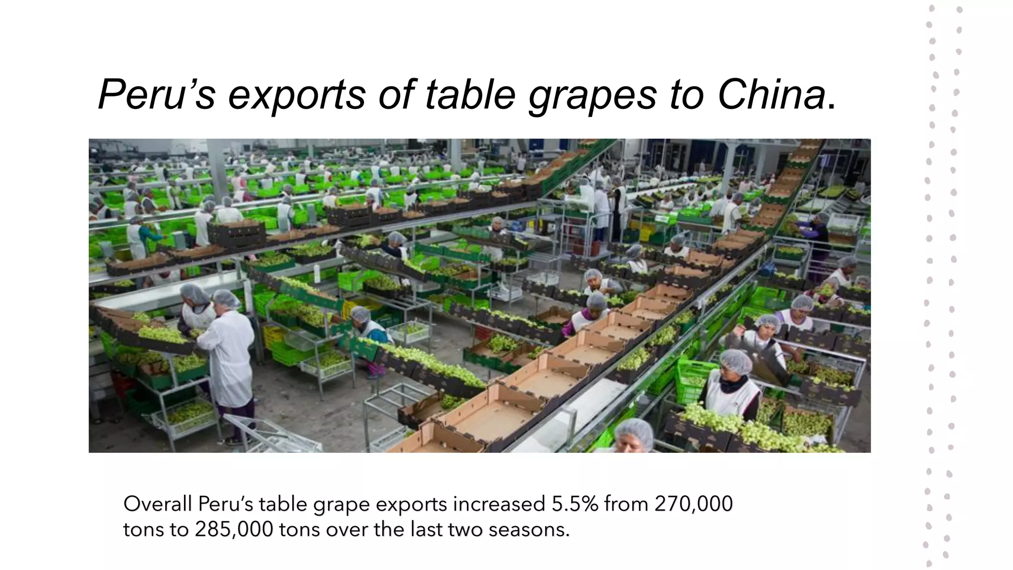 Table grapes