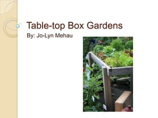 Table-top Box Gardens By: Jo-Lyn Mehau 