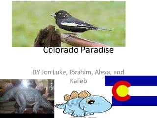 Colorado Paradise BY Jon Luke, Ibrahim, Alexa, and Kaileb 