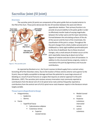 Arthrology Guide for the Lower Extremity | PDF