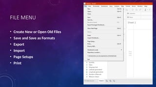 FILE MENU
• Create New or Open Old Files
• Save and Save as Formats
• Export
• Import
• Page Setups
• Print
 