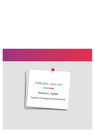 Tableau de bord Agefiph paca 2016