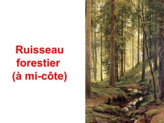 Ruisseau
 forestier
(à mi-côte)
 