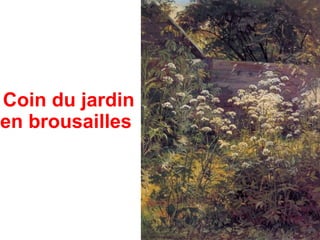 Coin du jardin
en brousailles
 