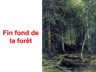 Fin fond de
  la forêt
 
