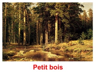 Petit bois
 