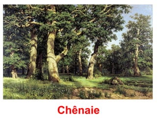 Chênaie
 