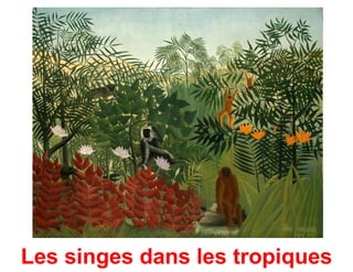 Les singes dans les tropiques
 