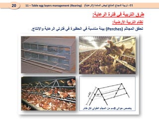 ‫األرضية‬ ‫التربية‬ ‫نظام‬
:
11
-
‫المائدة‬ ‫لبيض‬ ‫المنتج‬ ‫الدجاج‬ ‫تربية‬
(
‫الرعاية‬
)
(Rearing)
11 – Table egg layers management
20
‫الرعاية‬ ‫فترة‬ ‫في‬ ‫التربية‬ ‫طرق‬
:
‫المجاثم‬ ‫تحقق‬
(
Perches
)
‫واإلنتاج‬ ‫الرعاية‬ ‫فترتي‬ ‫في‬ ‫الحظيرة‬ ‫في‬ ‫مناسبة‬ ‫بيئة‬
.
‫حوالي‬ ‫يخصص‬
8
‫طائر‬ ‫لكل‬ ‫الطولي‬ ‫المجثم‬ ‫من‬ ‫سم‬
 