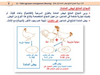 
‫يربى‬
‫الدجاج‬
‫المنتج‬
‫لبيض‬
‫المائدة‬
‫بالطرق‬
‫السرحية‬
(
‫الفالحية‬
)
‫بأعداد‬
،‫قليلة‬
‫أو‬
‫بكميات‬
‫تجارية‬
‫ضخمة‬
‫في‬
،‫المداجن‬
‫من‬
‫هجن‬
‫الدجاج‬
‫المتخصصة‬
‫بإنتاج‬
‫هذا‬
‫النوع‬
‫من‬
‫البيض‬
.

‫بيض‬
‫المائدة‬
‫المنتج‬
‫في‬
‫المداجن‬
‫غير‬
ْ‫ب‬َ
‫ص‬َ
‫خ‬ُ
‫م‬
،
‫نتيجة‬
‫عدم‬
‫وجود‬
‫الذكور‬
(
‫الديوك‬
)
‫مع‬
‫اإلناث‬
.
11
-
‫المائدة‬ ‫لبيض‬ ‫المنتج‬ ‫الدجاج‬ ‫تربية‬
(
‫الرعاية‬
)
(Rearing)
11 – Table egg layers management
2
‫المائدة‬ ‫لبيض‬ ‫المنتج‬ ‫الدجاج‬
:
+ ‫متزوجة‬ ‫دجاجة‬
‫أو‬
‫مخصب‬ ‫بيض‬
‫حوالي‬
95
%
‫مخصب‬ ‫غير‬ ‫بيض‬
‫حوالي‬
5
%
‫مخصب‬ ‫غير‬ ‫بيض‬
100
%
‫عزباء‬ ‫دجاجة‬
‫فقس‬ ‫بيض‬
‫المفقس‬ ‫في‬ ‫أو‬ ‫الدجاجة‬ ‫تحضنه‬
‫على‬ ‫للحصول‬
‫فقط‬ ‫المخصب‬ ‫البيض‬ ‫من‬ ‫الصيصان‬
‫المائدة‬ ‫بيض‬
‫ديك‬
 