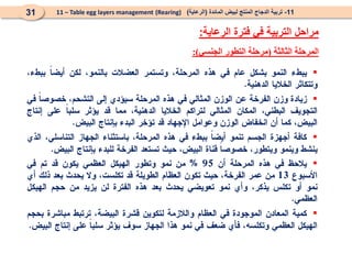 11
-
‫المائدة‬ ‫لبيض‬ ‫المنتج‬ ‫الدجاج‬ ‫تربية‬
(
‫الرعاية‬
)
(Rearing)
11 – Table egg layers management
31
‫الرعاية‬ ‫فترة‬ ‫في‬ ‫التربية‬ ‫مراحل‬
:
‫الثالثة‬ ‫المرحلة‬
(
‫الجنسي‬ ‫التطور‬ ‫مرحلة‬
:)





 