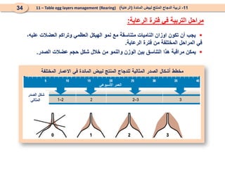
،‫عليه‬ ‫العضالت‬ ‫وتراكم‬ ‫العظمي‬ ‫الهيكل‬ ‫نمو‬ ‫مع‬ ‫متناسقة‬ ‫الناميات‬ ‫اوزان‬ ‫تكون‬ ‫أن‬ ‫يجب‬
‫الرعاية‬ ‫فترة‬ ‫من‬ ‫المختلفة‬ ‫المراحل‬ ‫في‬
.

‫هذا‬ ‫مراقبة‬ ‫يمكن‬
‫التناسق‬
‫شكل‬ ‫خالل‬ ‫من‬ ‫والنمو‬ ‫الوزن‬ ‫بين‬
‫الصدر‬ ‫عضالت‬ ‫حجم‬
.
11
-
‫المائدة‬ ‫لبيض‬ ‫المنتج‬ ‫الدجاج‬ ‫تربية‬
(
‫الرعاية‬
)
(Rearing)
11 – Table egg layers management
34
‫الرعاية‬ ‫فترة‬ ‫في‬ ‫التربية‬ ‫مراحل‬
:
 