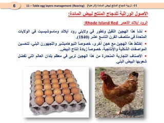 :Rhode Island Red ‫األحمر‬ ‫آيالند‬ ‫الرود‬

‫نشأ‬
‫هذا‬
‫الهجين‬
‫الثقيل‬
‫وتطور‬
‫في‬
‫واليتي‬
‫رود‬
‫آيالند‬
‫وماسوشيسيت‬
‫في‬
‫الواليات‬
‫المتحدة‬
‫في‬
‫منتصف‬
‫القرن‬
‫التاسع‬
‫عشر‬
(
1840
)
.

‫إختلط‬
‫هذا‬
‫الهجين‬
‫مع‬
‫هجن‬
،‫أخرى‬
ً
‫ا‬‫خصوص‬
‫النيوهامبشير‬
‫واللجهورن‬
،‫البني‬
‫لتحسين‬
‫المواصفات‬
‫الشكلية‬
،‫واإلنتاجية‬
ً
‫ا‬‫خصوص‬
‫زيادة‬
‫إنتاج‬
‫البيض‬
.

‫األصناف‬
‫التجارية‬
‫المنحدرة‬
‫من‬
‫هذا‬
‫الهجين‬
‫تربى‬
‫في‬
‫معظم‬
‫بلدان‬
‫العالم‬
‫التي‬
‫تفضل‬
‫شعوبها‬
‫البيض‬
‫البني‬
.
11
-
‫المائدة‬ ‫لبيض‬ ‫المنتج‬ ‫الدجاج‬ ‫تربية‬
(
‫الرعاية‬
)
(Rearing)
11 – Table egg layers management
6
‫المائدة‬ ‫لبيض‬ ‫المنتج‬ ‫للدجاج‬ ‫الوراثية‬ ‫األصول‬
:
 