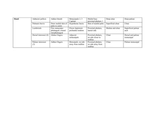 Table of upper limb muscles