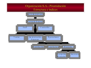 Organización S.A.- Piramidación Estructura e índices 