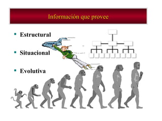 Información que provee Estructural Situacional Evolutiva 