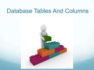 Database Tables And Columns
 
