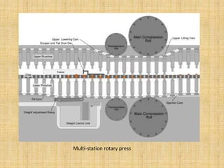 Multi-station rotary press
 