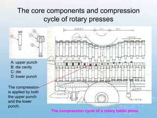 The core components and compression
cycle of rotary presses
A: upper punch
B: die cavity
C: die
D: lower punch
The compression
is applied by both
the upper punch
and the lower
punch.
The compression cycle of a rotary tablet press
 