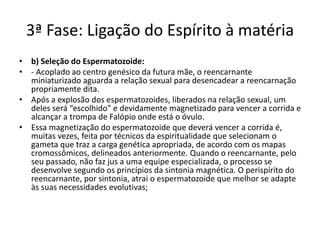 3ª Fase: Ligação do Espírito à matéria
• b) Seleção do Espermatozoide:
• - Acoplado ao centro genésico da futura mãe, o reencarnante
miniaturizado aguarda a relação sexual para desencadear a reencarnação
propriamente dita.
• Após a explosão dos espermatozoides, liberados na relação sexual, um
deles será “escolhido” e devidamente magnetizado para vencer a corrida e
alcançar a trompa de Falópio onde está o óvulo.
• Essa magnetização do espermatozoide que deverá vencer a corrida é,
muitas vezes, feita por técnicos da espiritualidade que selecionam o
gameta que traz a carga genética apropriada, de acordo com os mapas
cromossômicos, delineados anteriormente. Quando o reencarnante, pelo
seu passado, não faz jus a uma equipe especializada, o processo se
desenvolve segundo os princípios da sintonia magnética. O perispírito do
reencarnante, por sintonia, atrai o espermatozoide que melhor se adapte
às suas necessidades evolutivas;
 
