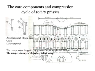 The core components and compression
cycle of rotary presses
A: upper punch B: die cavity
C: die
D: lower punch
The compression is applied by both the upper punch and the lower punch.
The compression cycle of a rotary tablet press
 