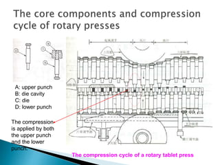 A: upper punch
B: die cavity
C: die
D: lower punch
The compression
is applied by both
the upper punch
and the lower
punch.
The compression cycle of a rotary tablet press
 