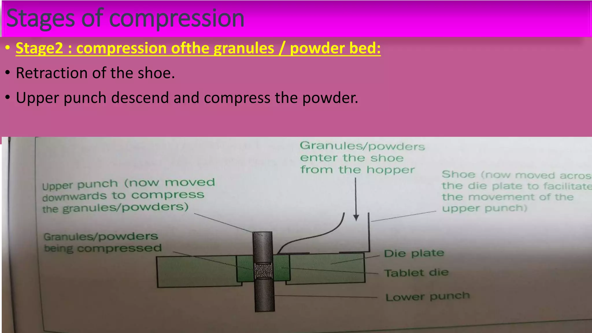 Stages of compression
• Stage2 : compression ofthe granules / powder bed:
• Retraction of the shoe.
• Upper punch descend and compress the powder.
 
