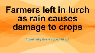 Explain why this is a good thing ?
Farmers left in lurch
as rain causes
damage to crops
 
